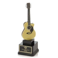Acoustic Guitar Award