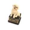 Bichon Dog Trophy