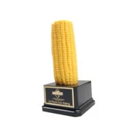 Corn Cob Trophy