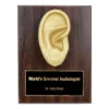Ear Plaque