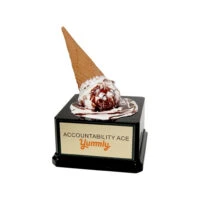 Ice Cream Cone Spill Award