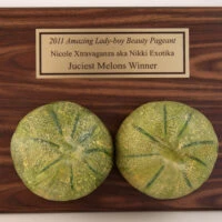 Melons Award Plaque