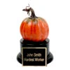 Pumpkin Trophy