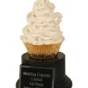 Wedding Cupcake Trophy