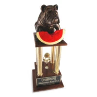 Bulldog Watermelon Bust Trophy