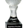Personalized Crystal Golf Ball With Black Pedestal